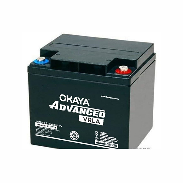 Okaya inverter battery