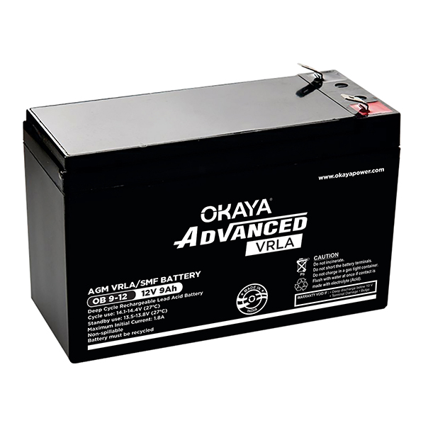 Okaya inverter battery